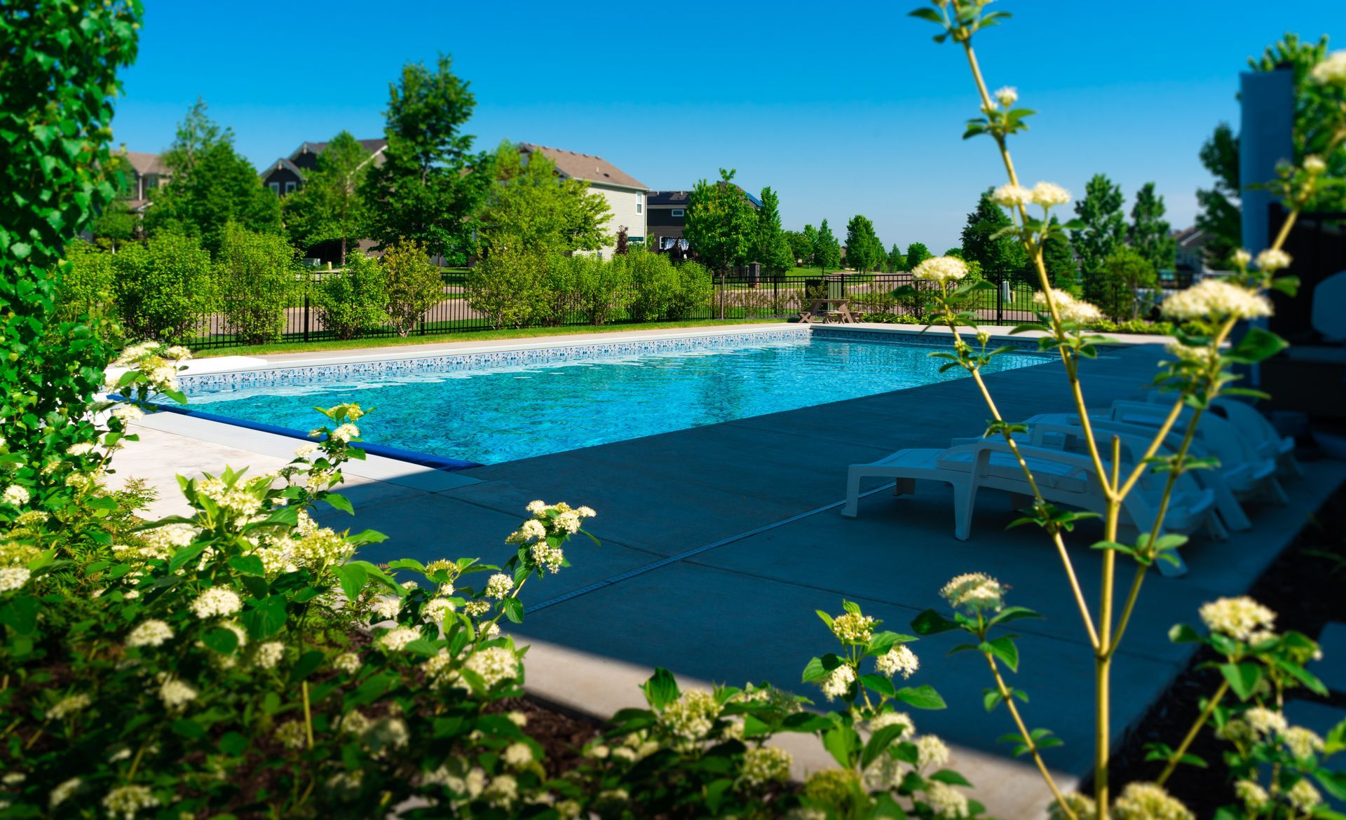 A large swimming pool surrounded by trees and flowers