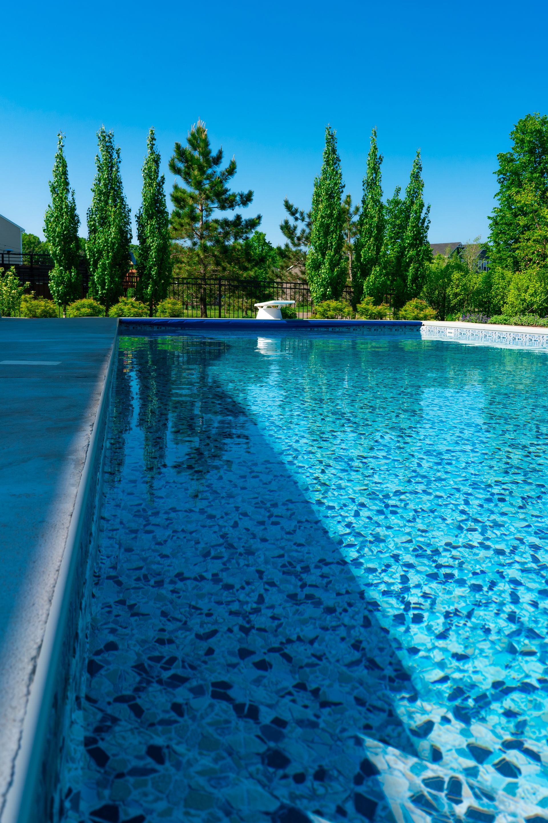 A large swimming pool surrounded by trees on a sunny day.