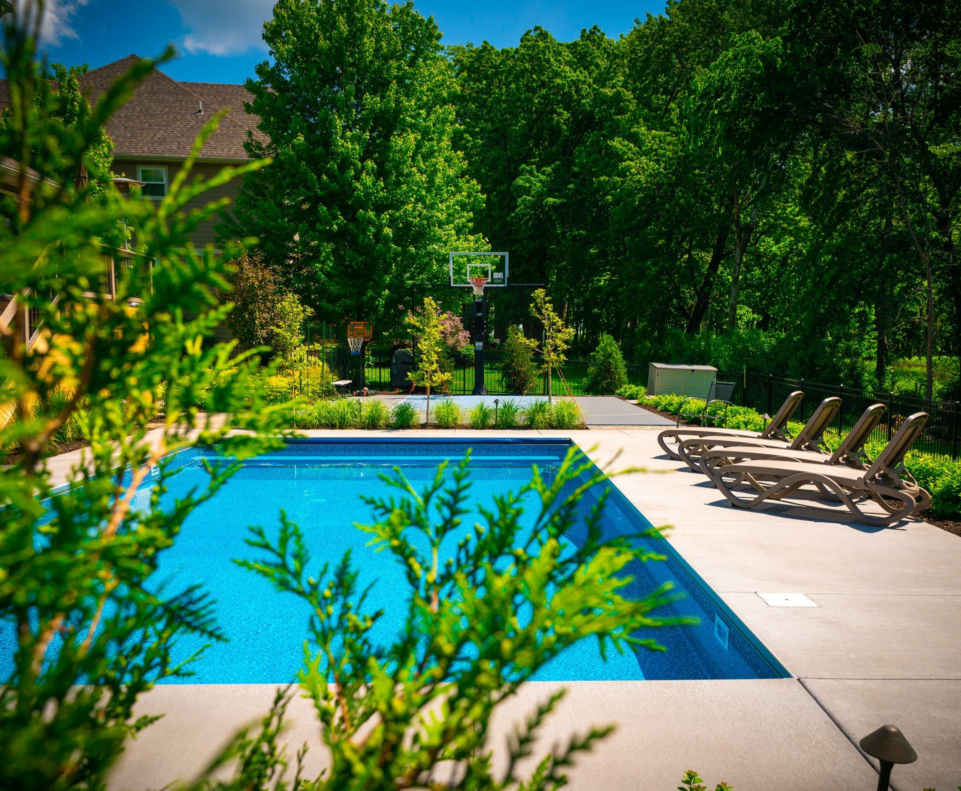 Picture of Pool and Greeneries — Lake Elmo, MN — Myhra Design Group