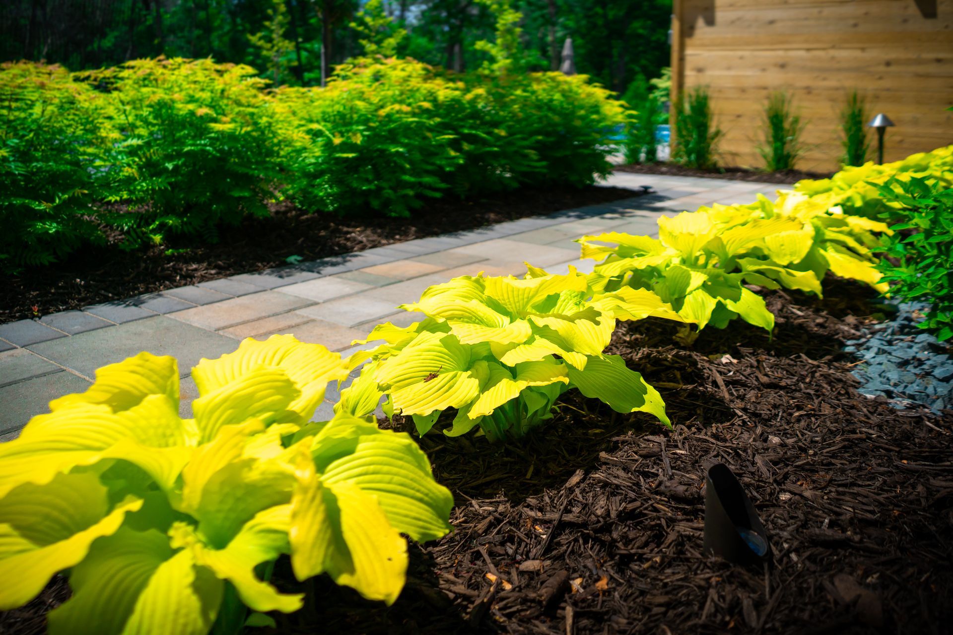 Lawn Care Services Lake Elmo MN