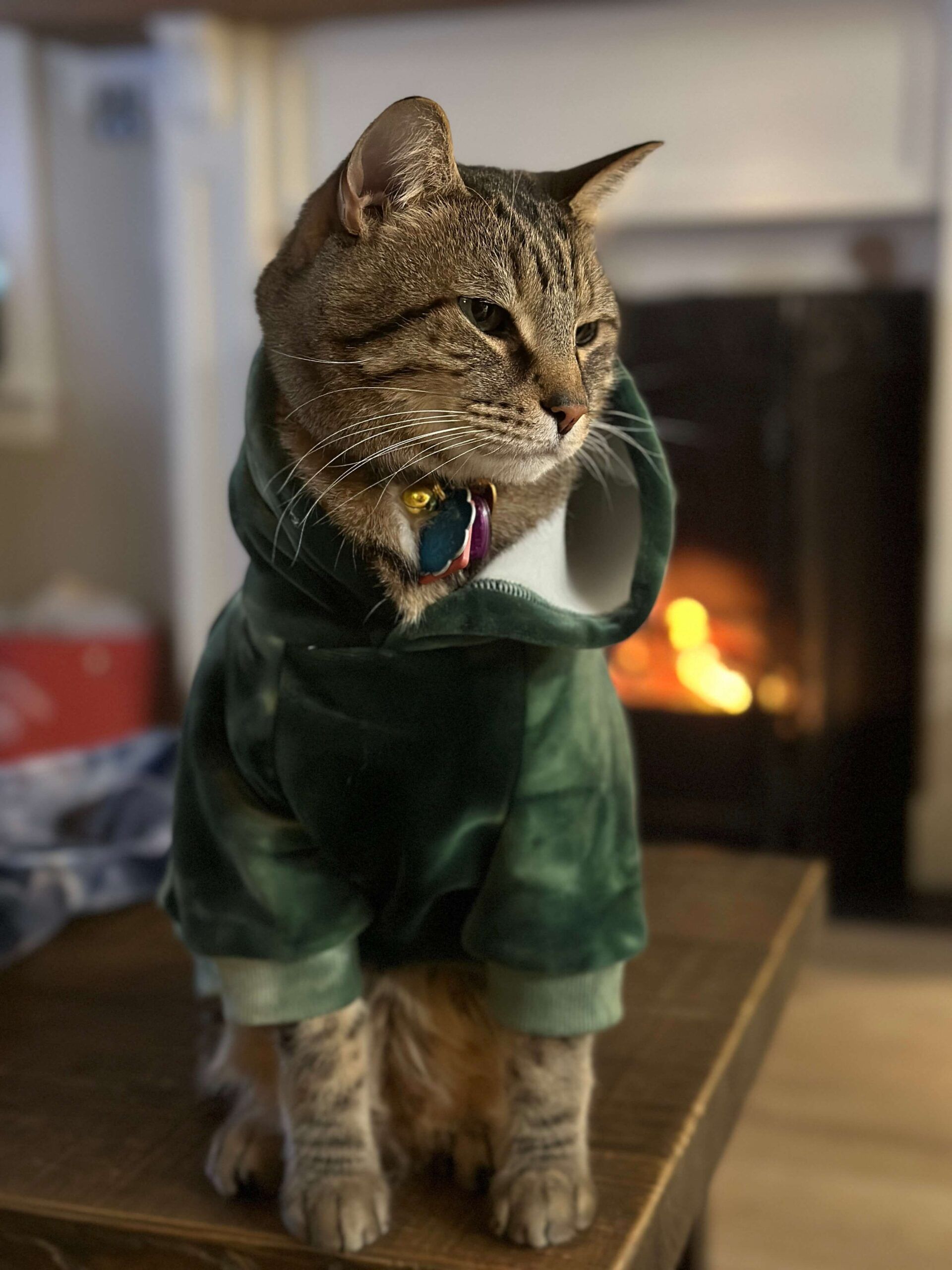 A cat wearing a green hoodie is sitting on a table in front of a fireplace.