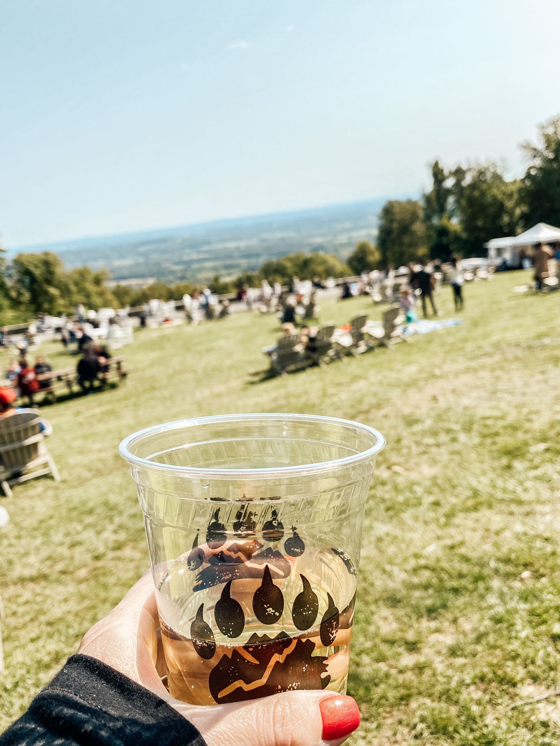 A person is holding a cup of beer in a field.