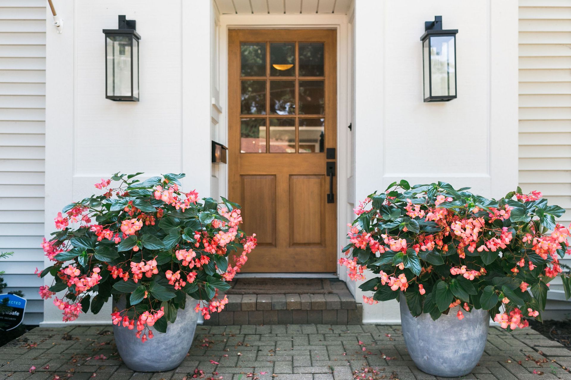 Two potted plants are in front of a house with a wooden door.