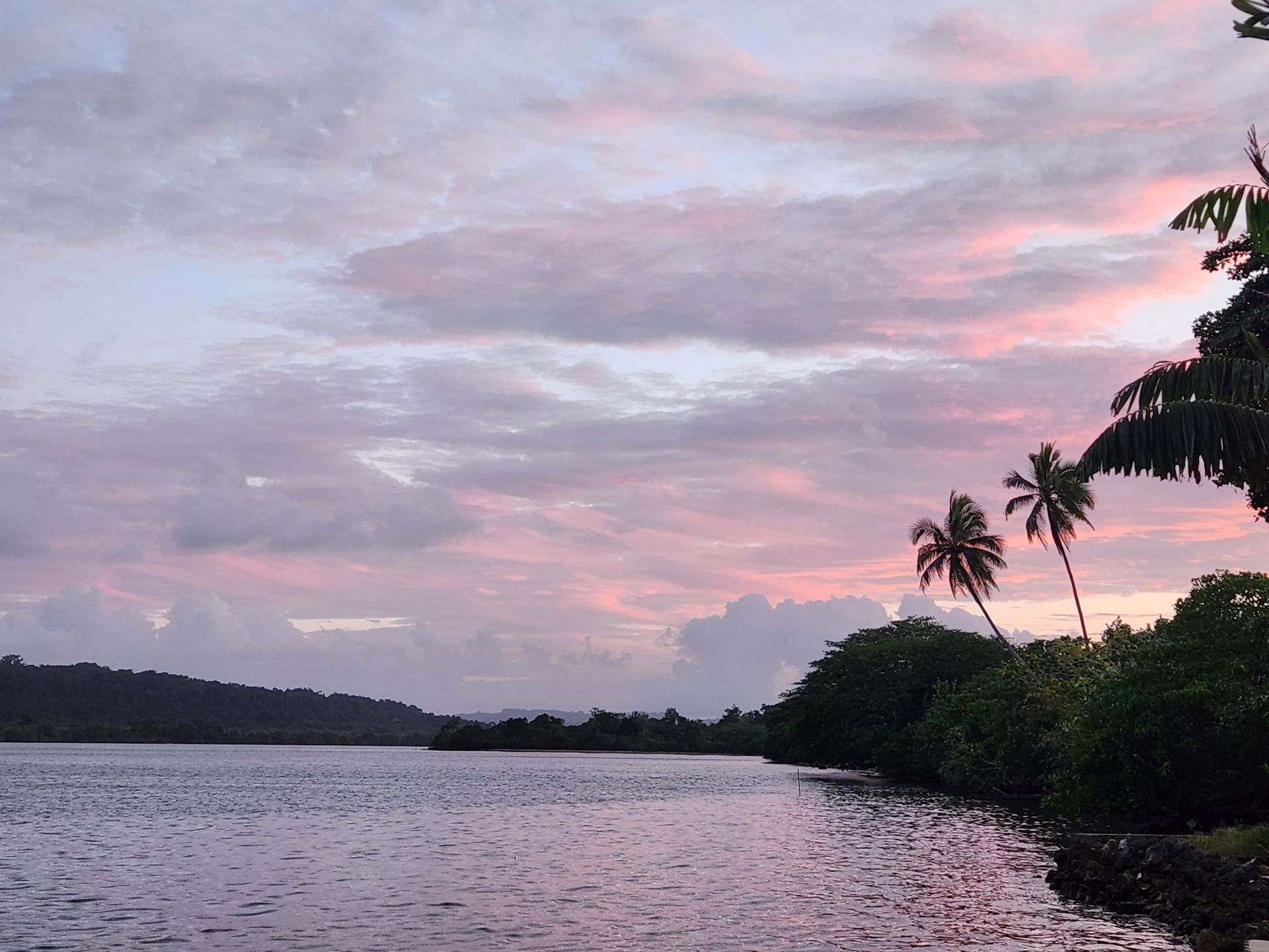 A sunset over a body of water with palm trees in the foreground