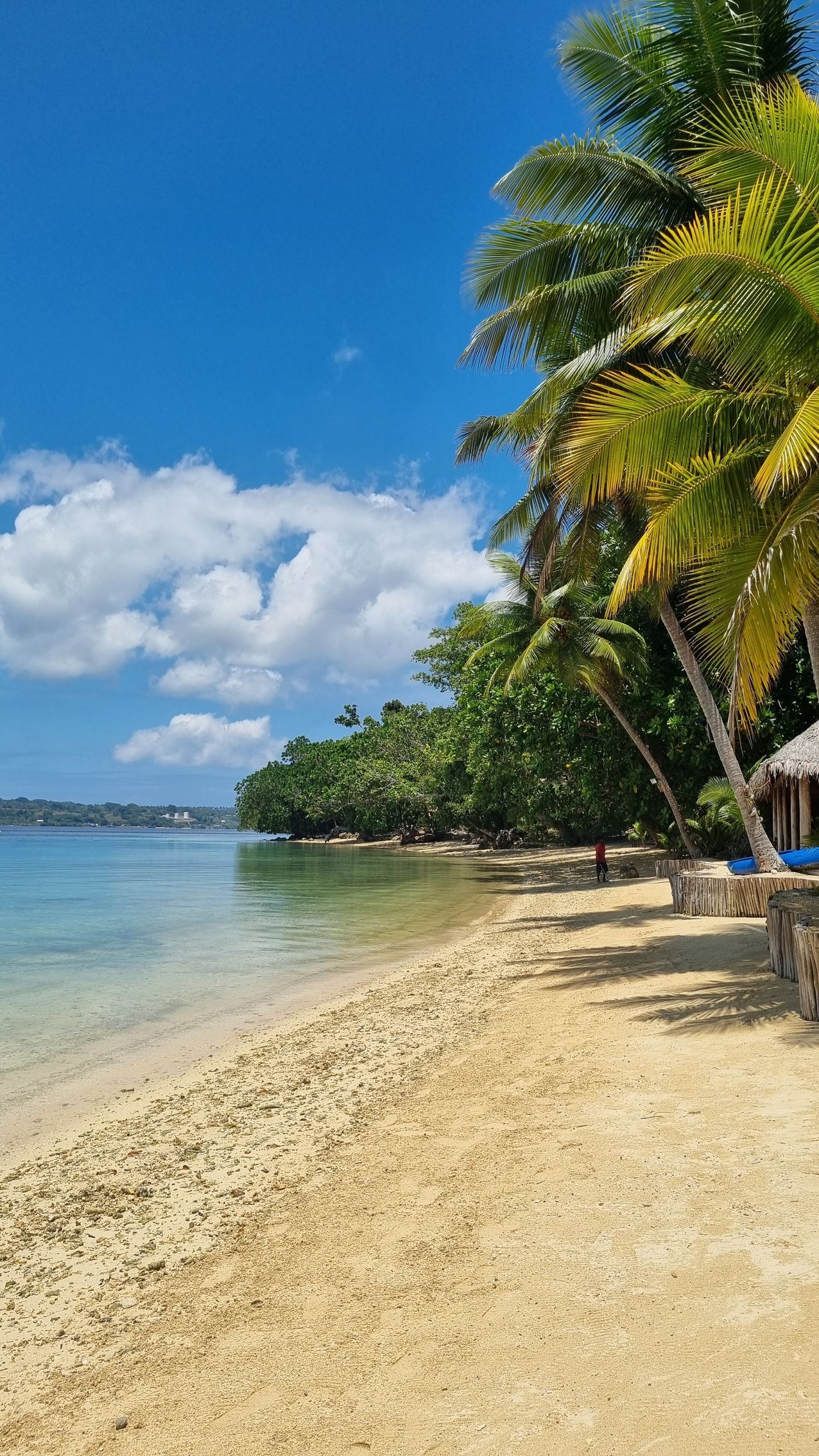 A sandy beach surrounded by palm trees and a body of water on a sunny day.