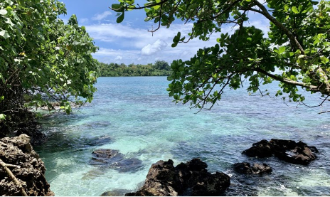 Beachfront Land for Sale Aore island in Vanuatu