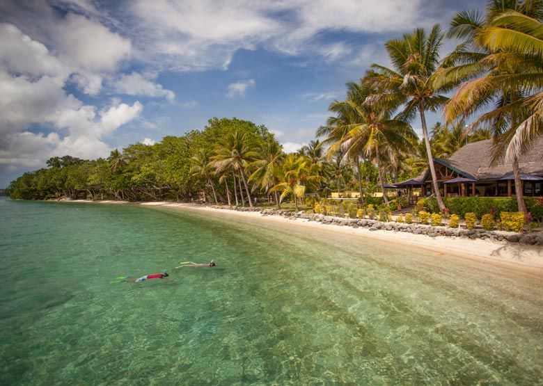 A person is swimming in the ocean near a beach with palm trees.
