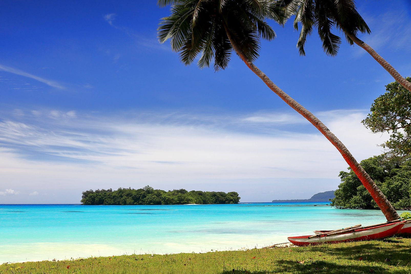 A tropical beach with palm trees and a small island in the distance