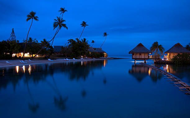 A swimming pool surrounded by palm trees and houses at night