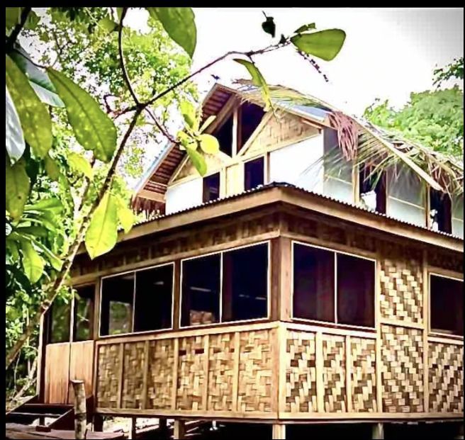 Bamboo hut in a lush green setting, with a gabled roof and large window