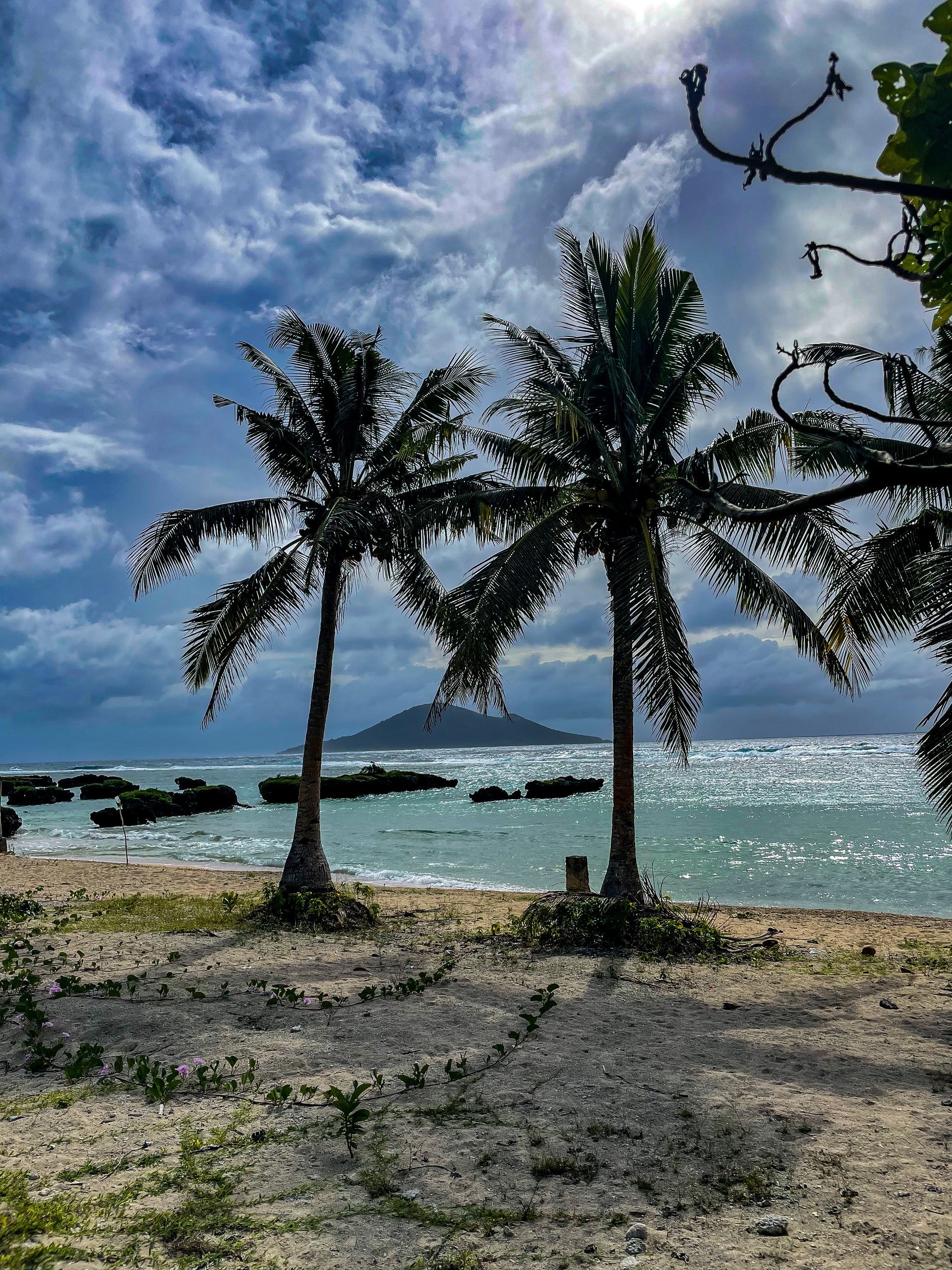 A beach with palm trees and a mountain in the background