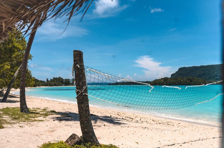 A volleyball net is sitting on the beach next to a palm tree.