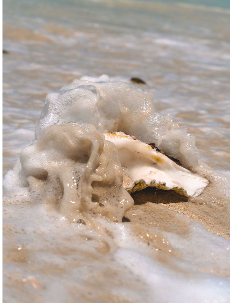 A sea shell is being washed by the waves on the beach.