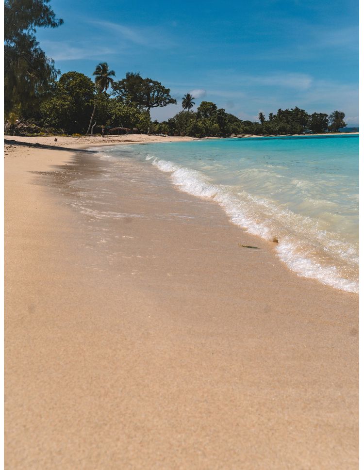 A beach with waves crashing on the sand and trees in the background