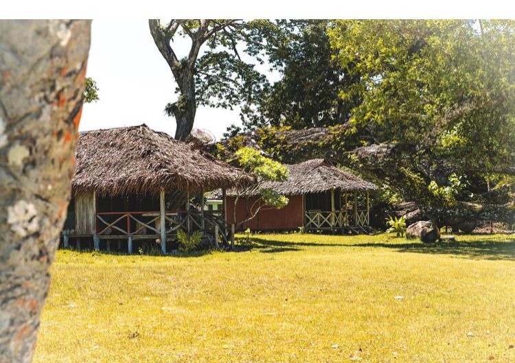 A thatched hut in the middle of a grassy field