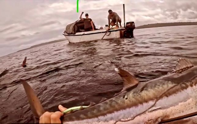 A person is holding a large fish in the water next to a boat.