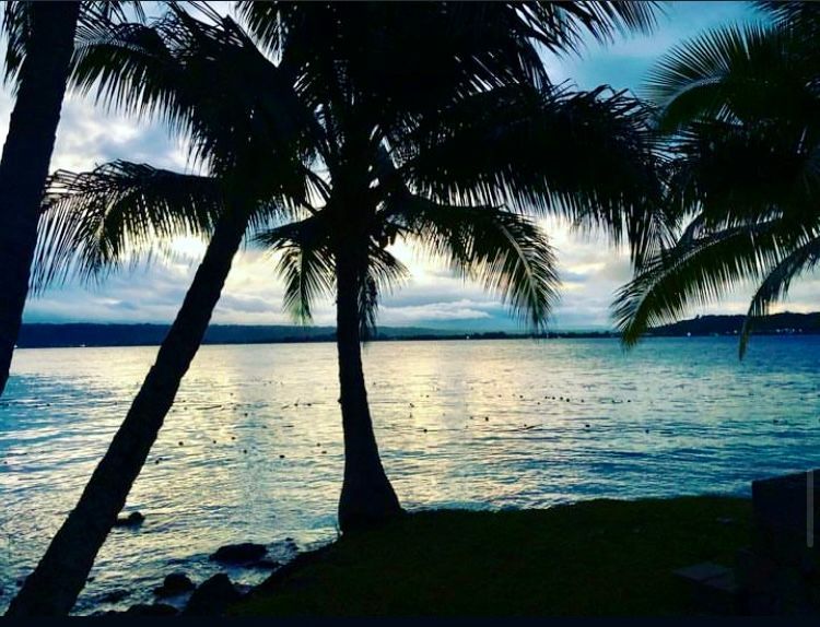 Two palm trees silhouetted against a body of water