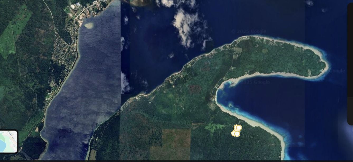 A yellow dot with the location of land for sale on Aore Island Vanuatu