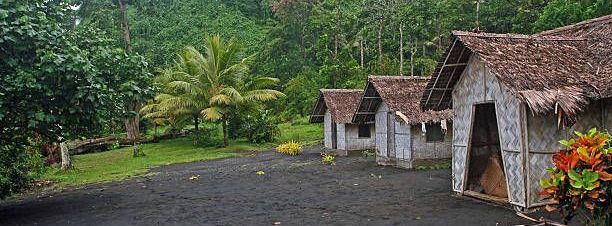 A row of small houses with thatched roofs in the middle of a forest.