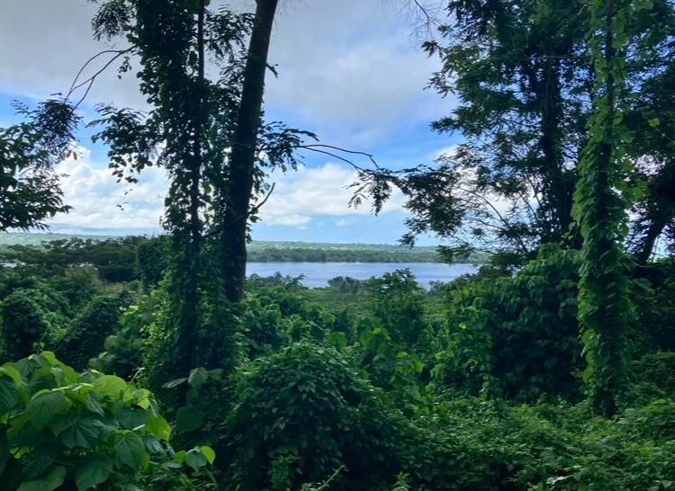 Ocean views if Santo from Phoenix Plantation Aore Island Vanuatu