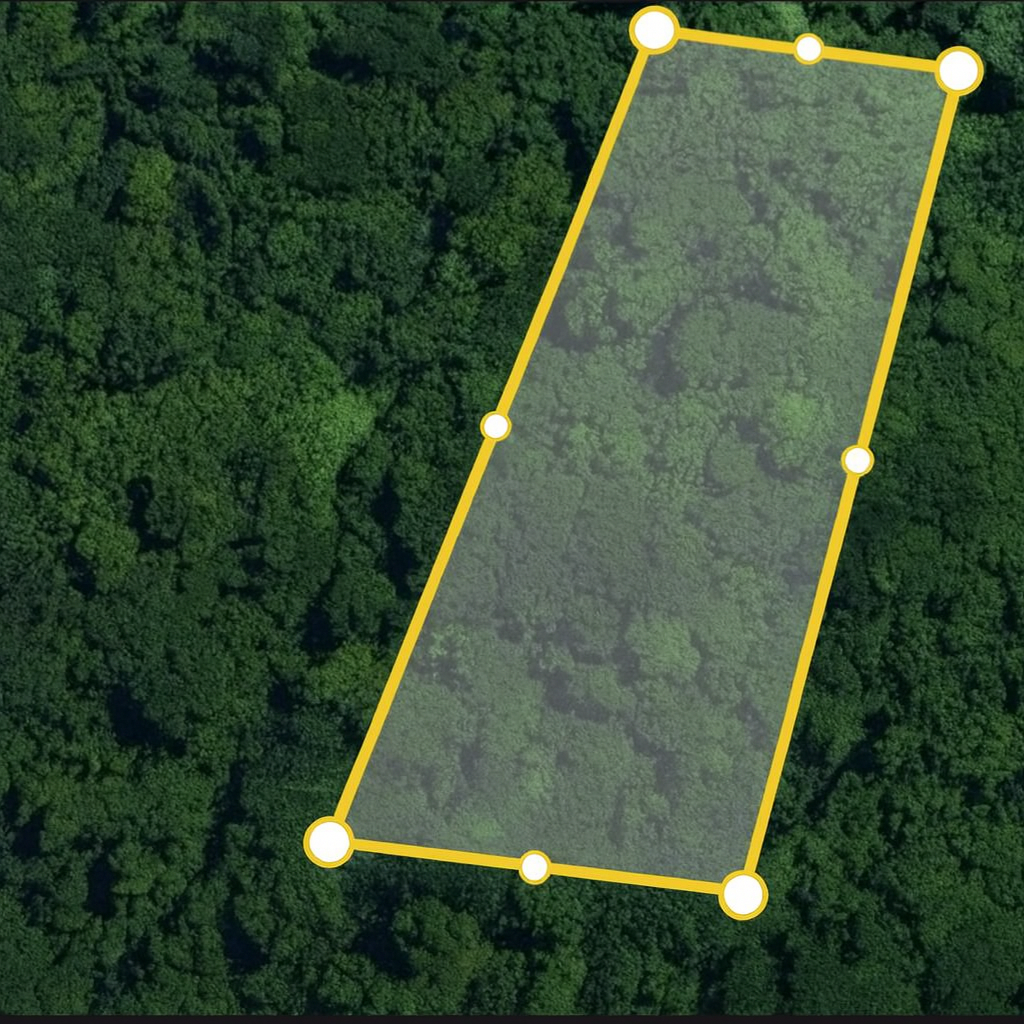 Survey boundary of 1 acre of land on Aore Island Vanuatu