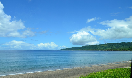 Person snorkeling in ocean, surrounded by black fish. Sunny, blue water.