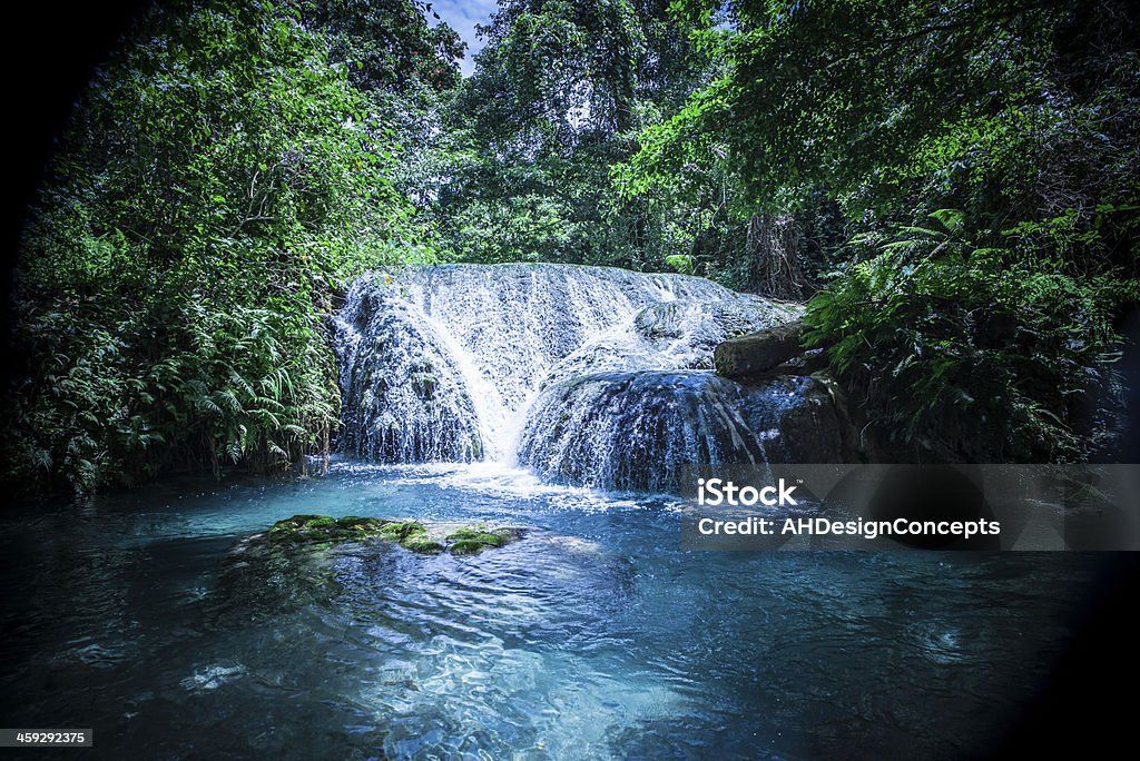 A small waterfall in the middle of a forest surrounded by trees.