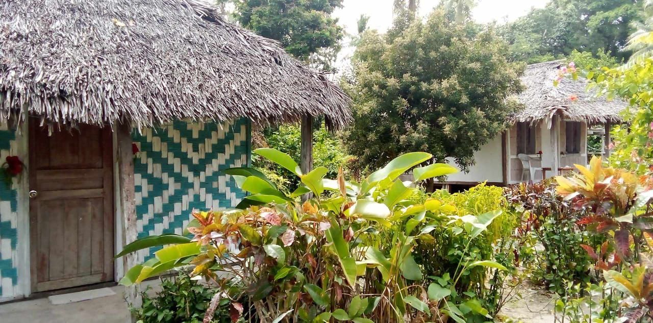 A small hut with a thatched roof is surrounded by trees and bushes.