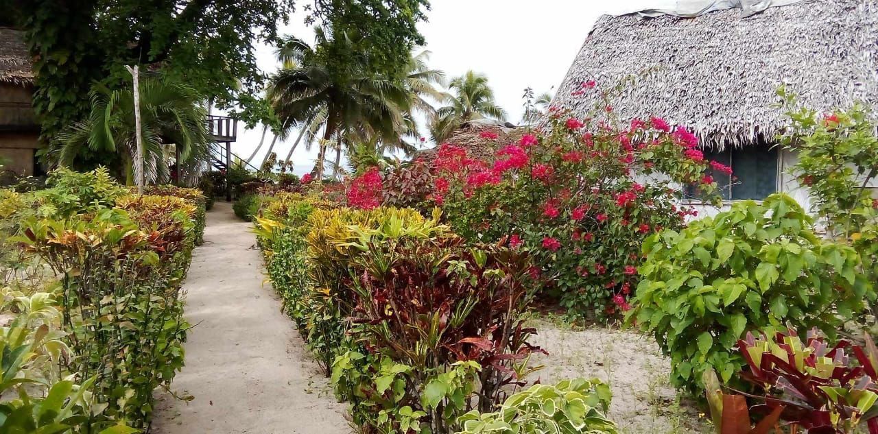 A path leading to a thatched roofed building surrounded by flowers and bushes.