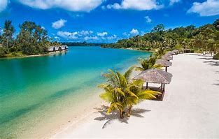 A tropical beach with palm trees and umbrellas next to a body of water.