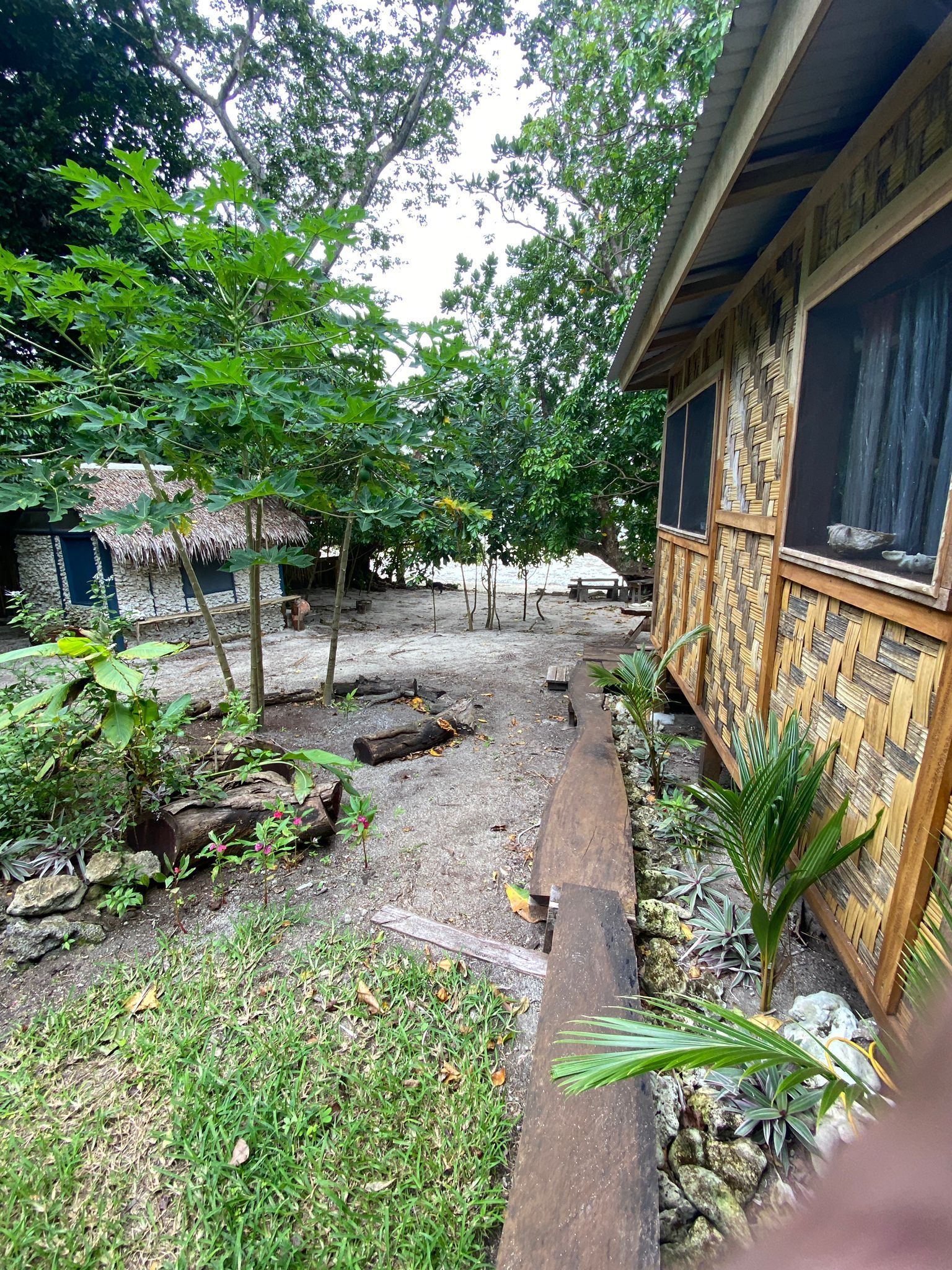 A path leading to a wooden house surrounded by trees and grass.