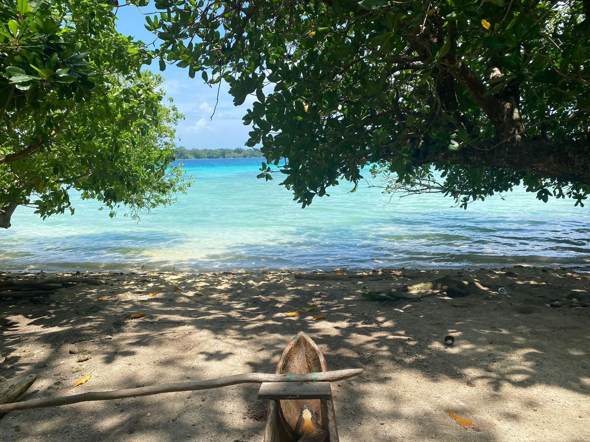 A boat is sitting on the beach under a tree.