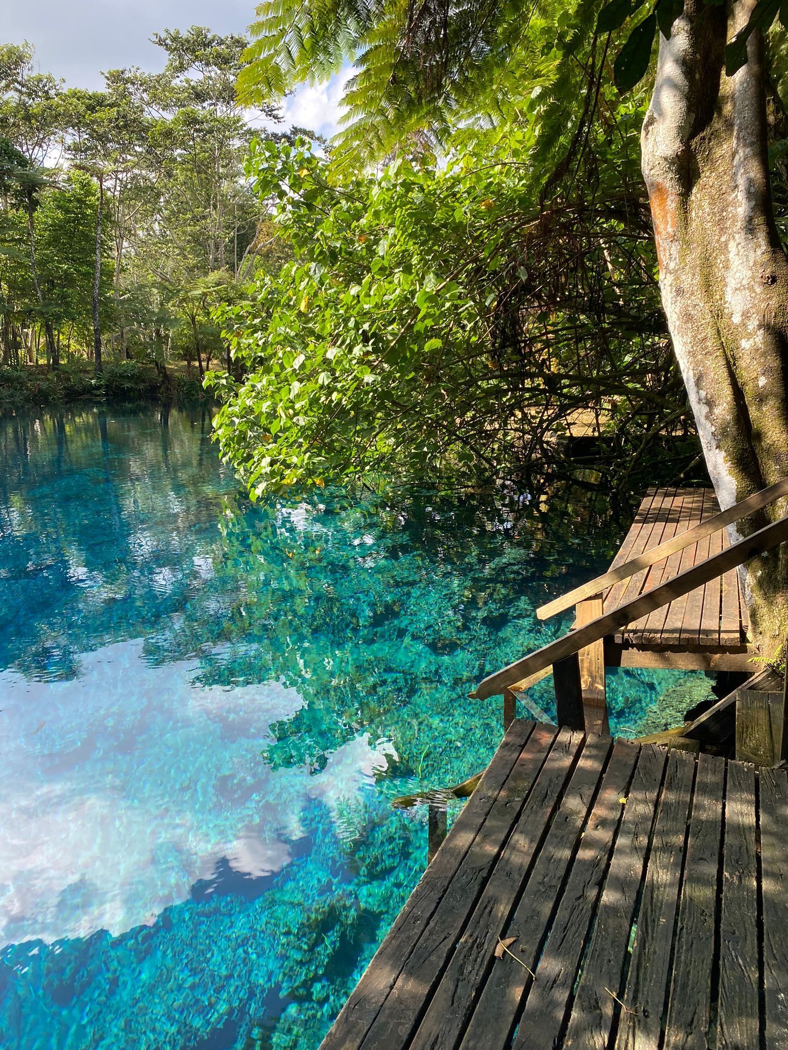 A wooden deck overlooking a body of water surrounded by trees.