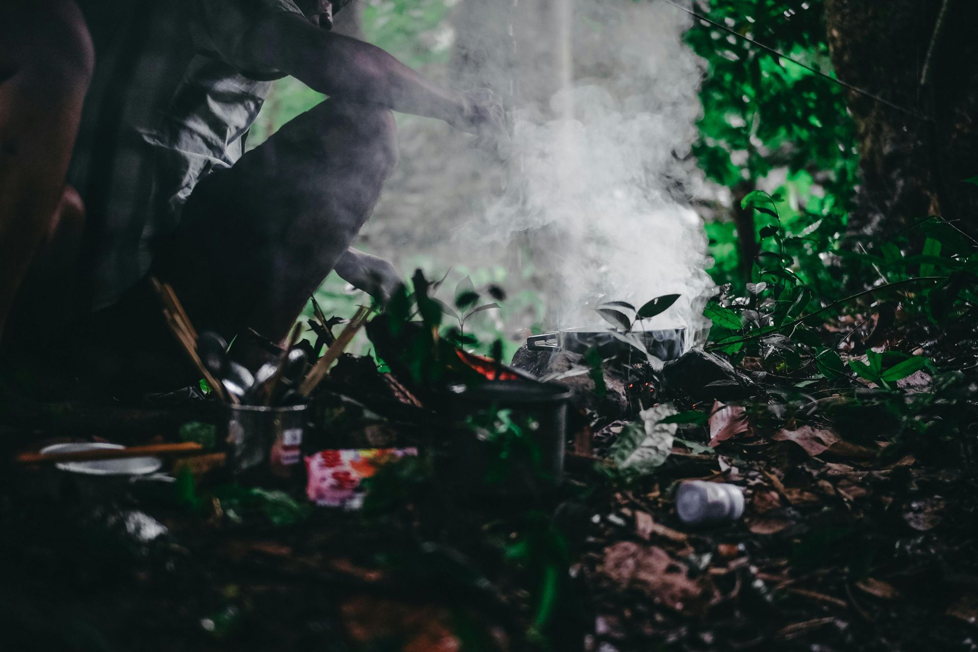 Rainy weather in the jungle of Vanuatu