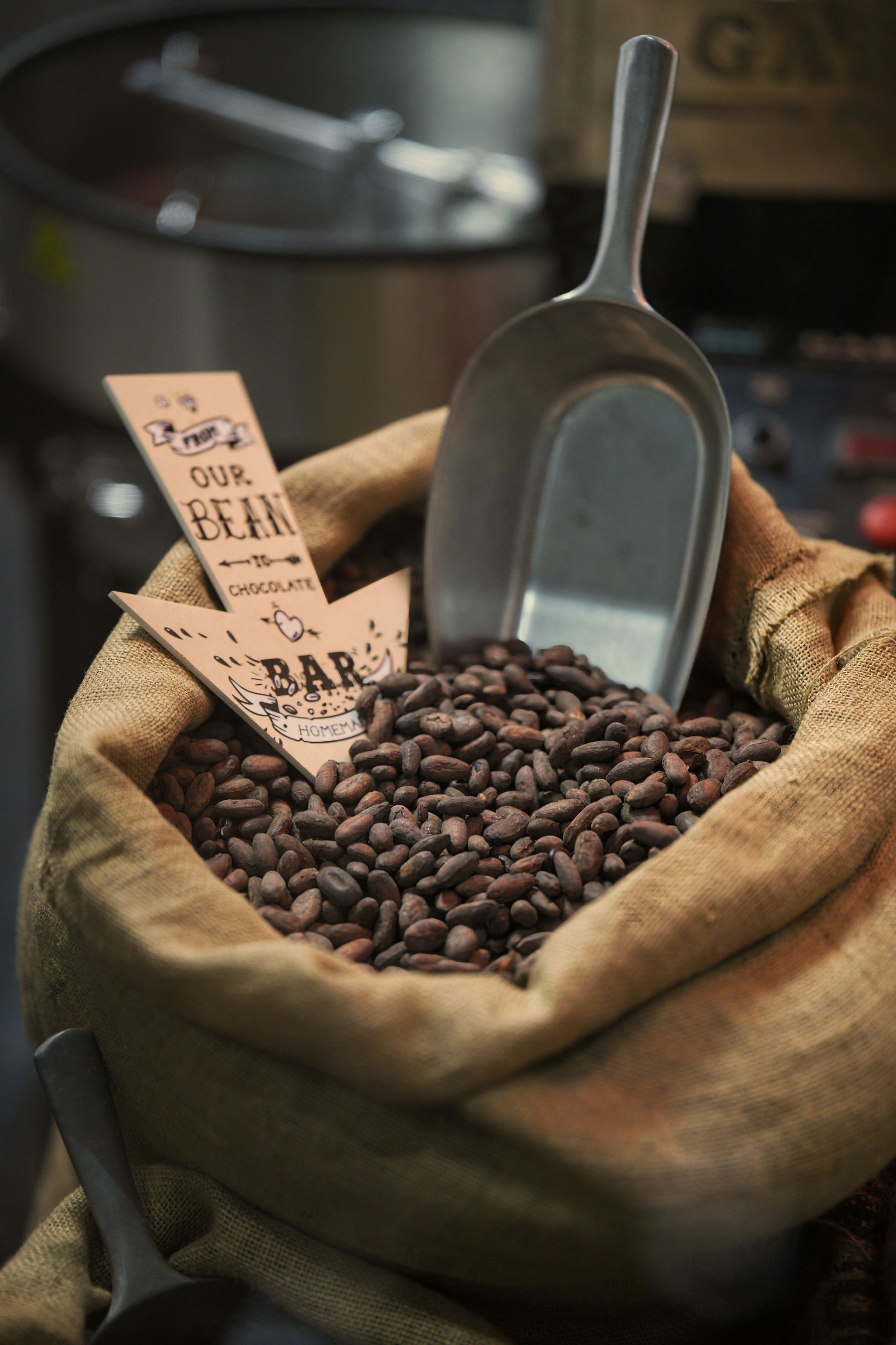 A bag of coffee beans with a scoop in it.
