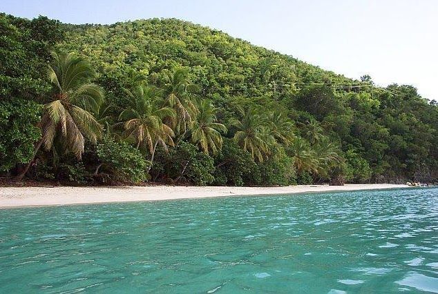 A tropical beach with palm trees and mountains in the background