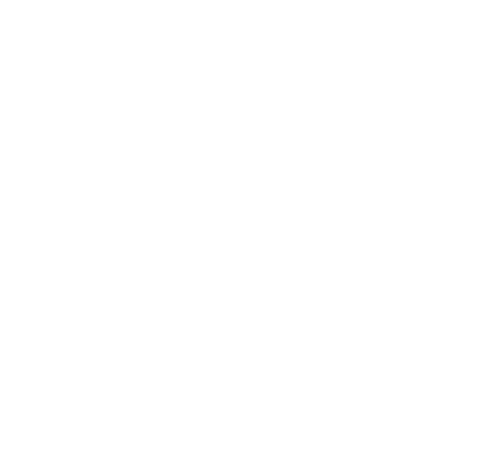Logo CCTV VISION