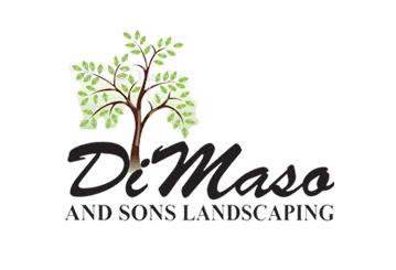 DiMaso & Sons Landscaping
