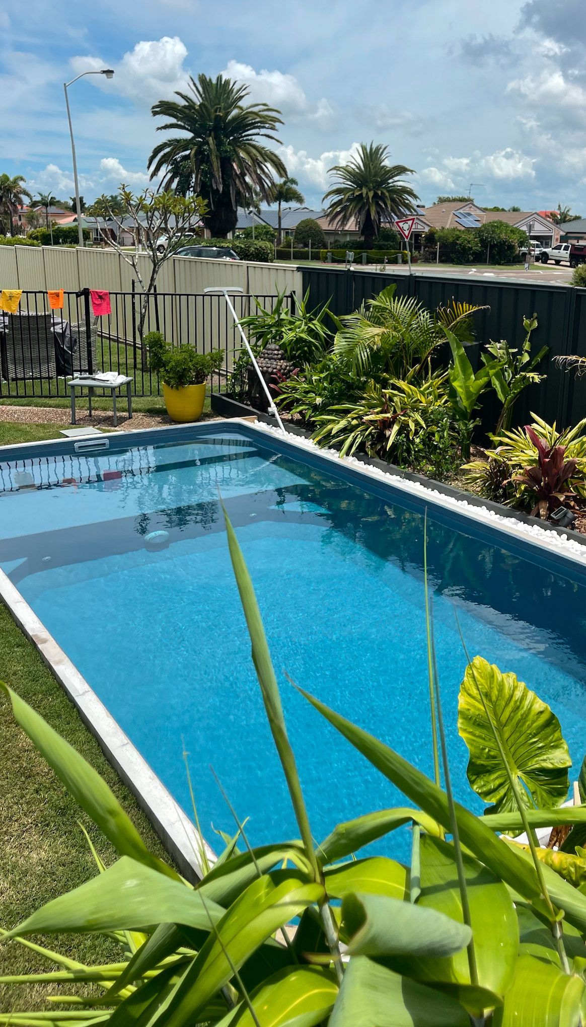 A large Plungie Max swimming pool is surrounded by plants.