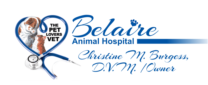 Belaire Animal Hospital