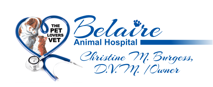 Bel aire best sale pet clinic