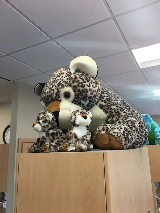 Alaska Dentistry For Kids