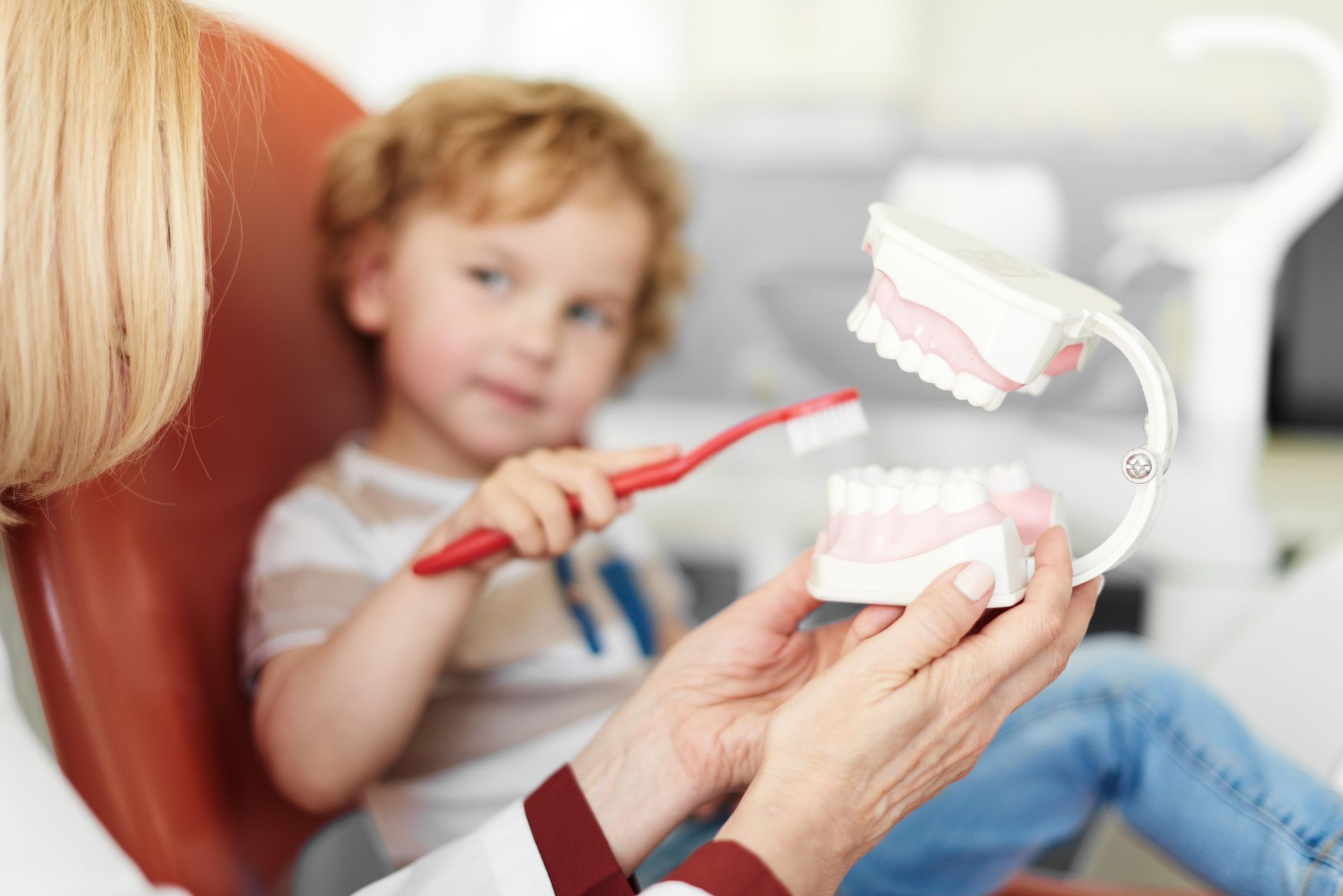 Pediatric dentist showing dental jaw model to little patient when explaining how to clean teeth