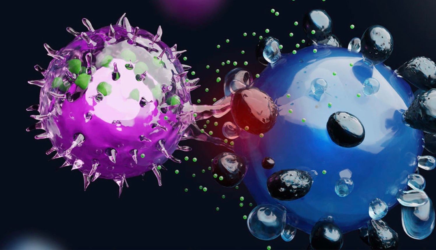 How to Naturally Boost NK Cell Function | Natural Insights