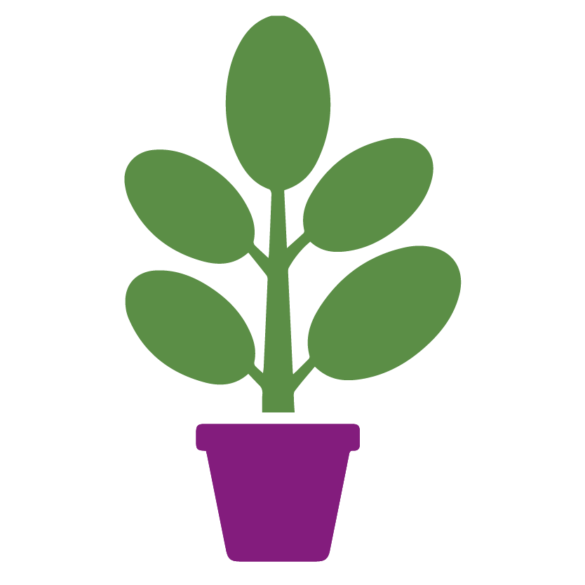 Home London Wholesale Plants