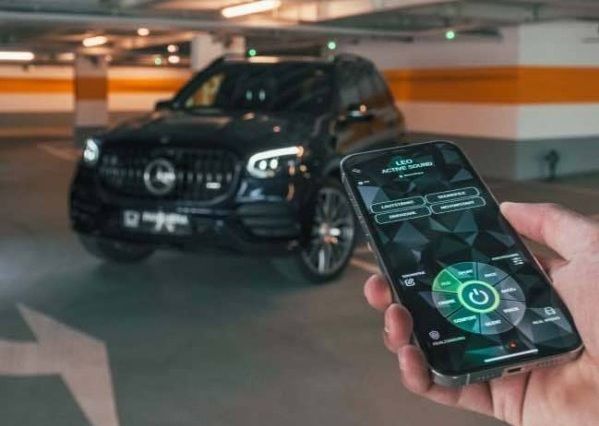 Panthera Leo Active Sound ASC 6.0