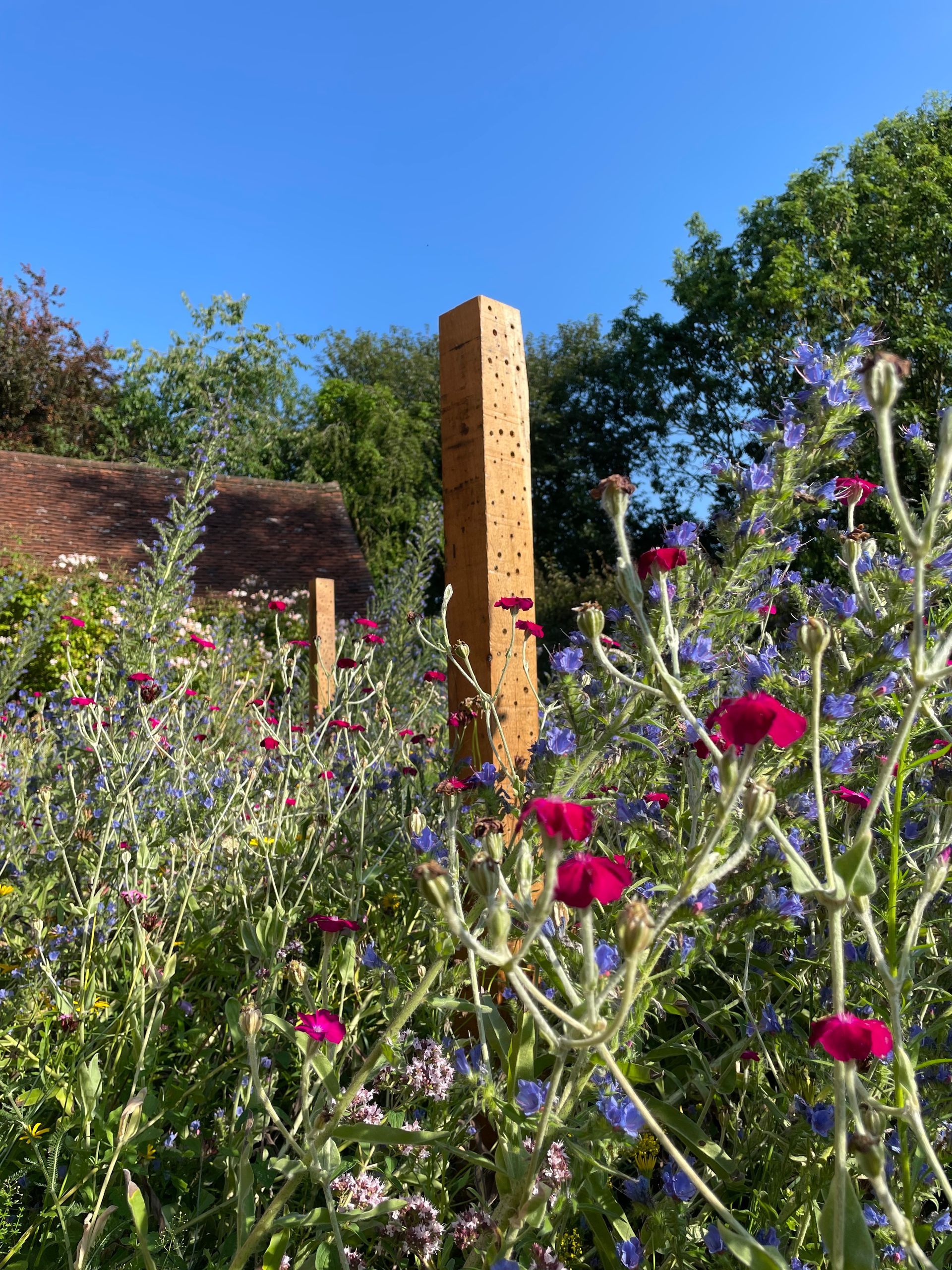 A wooden pole is in the middle of a field of flowers.