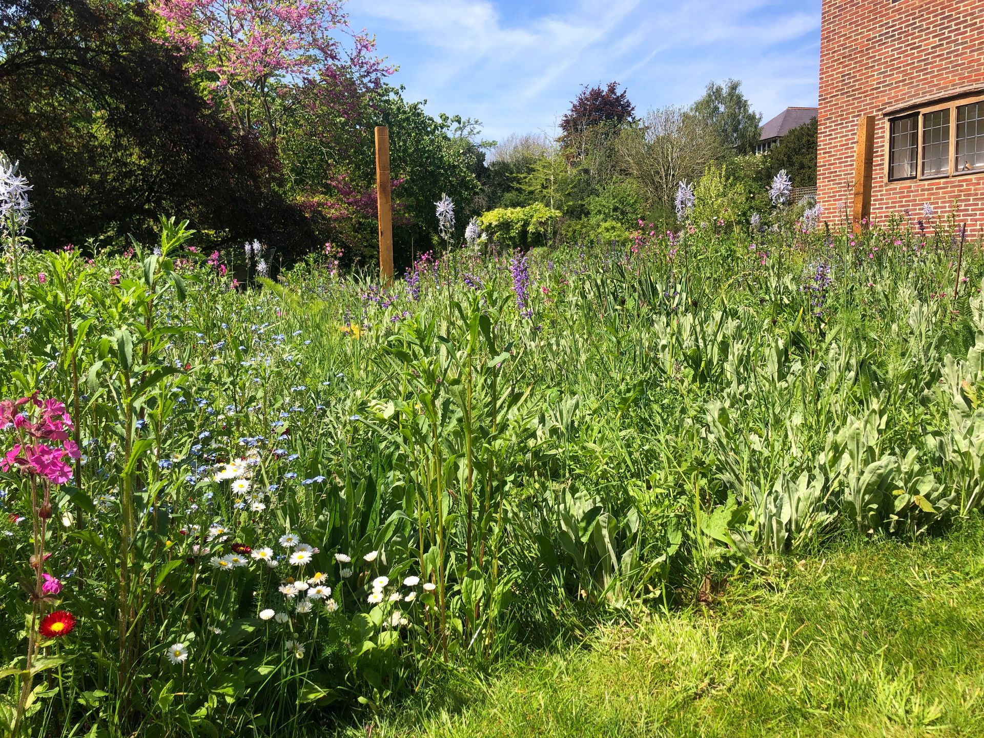 A lush green field of flowers in front of a brick building.