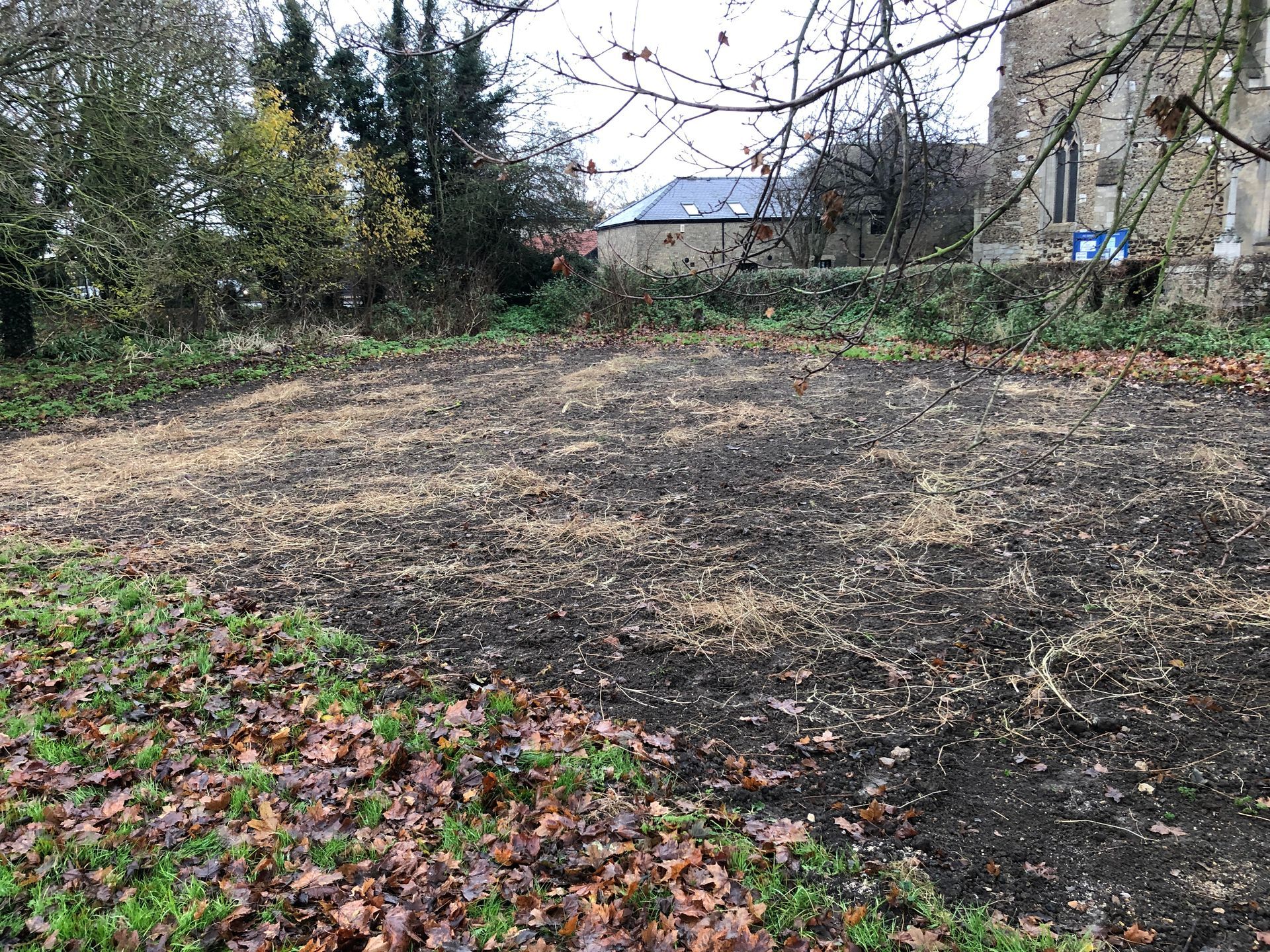 There is a lot of leaves on the ground in the middle of a field.