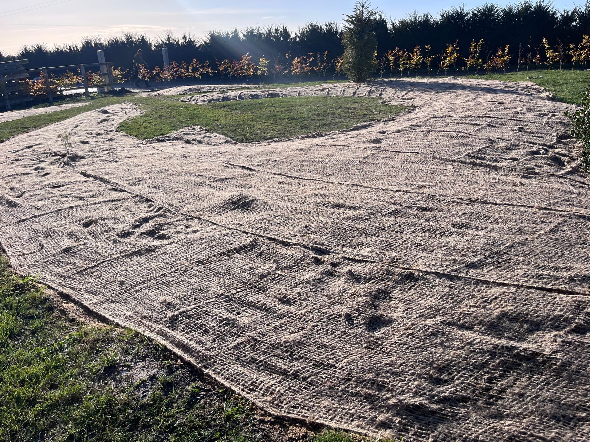 A dirt road going through a grassy field with trees in the background.